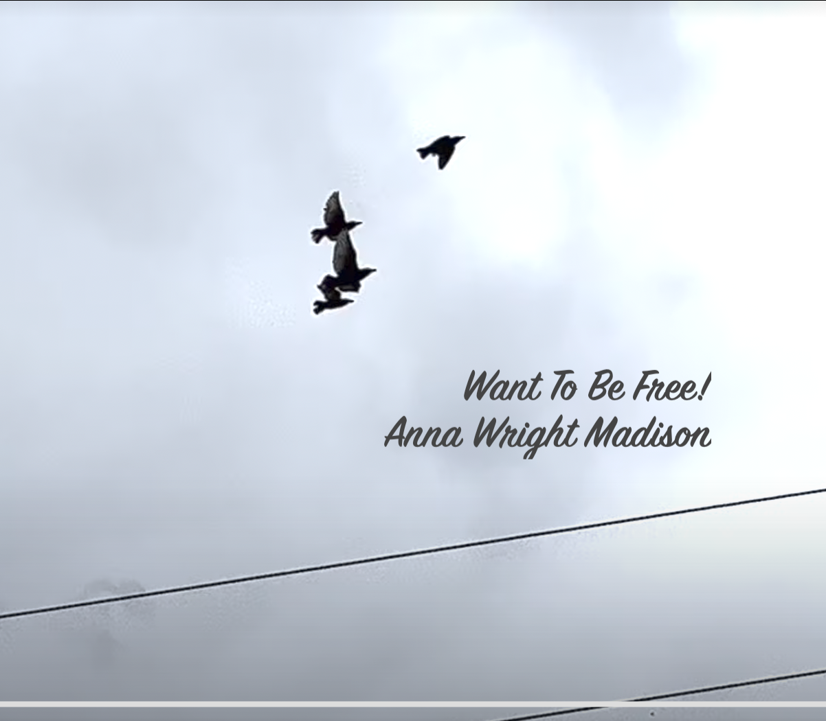 I Want to Be Free — Anna Wright Madison