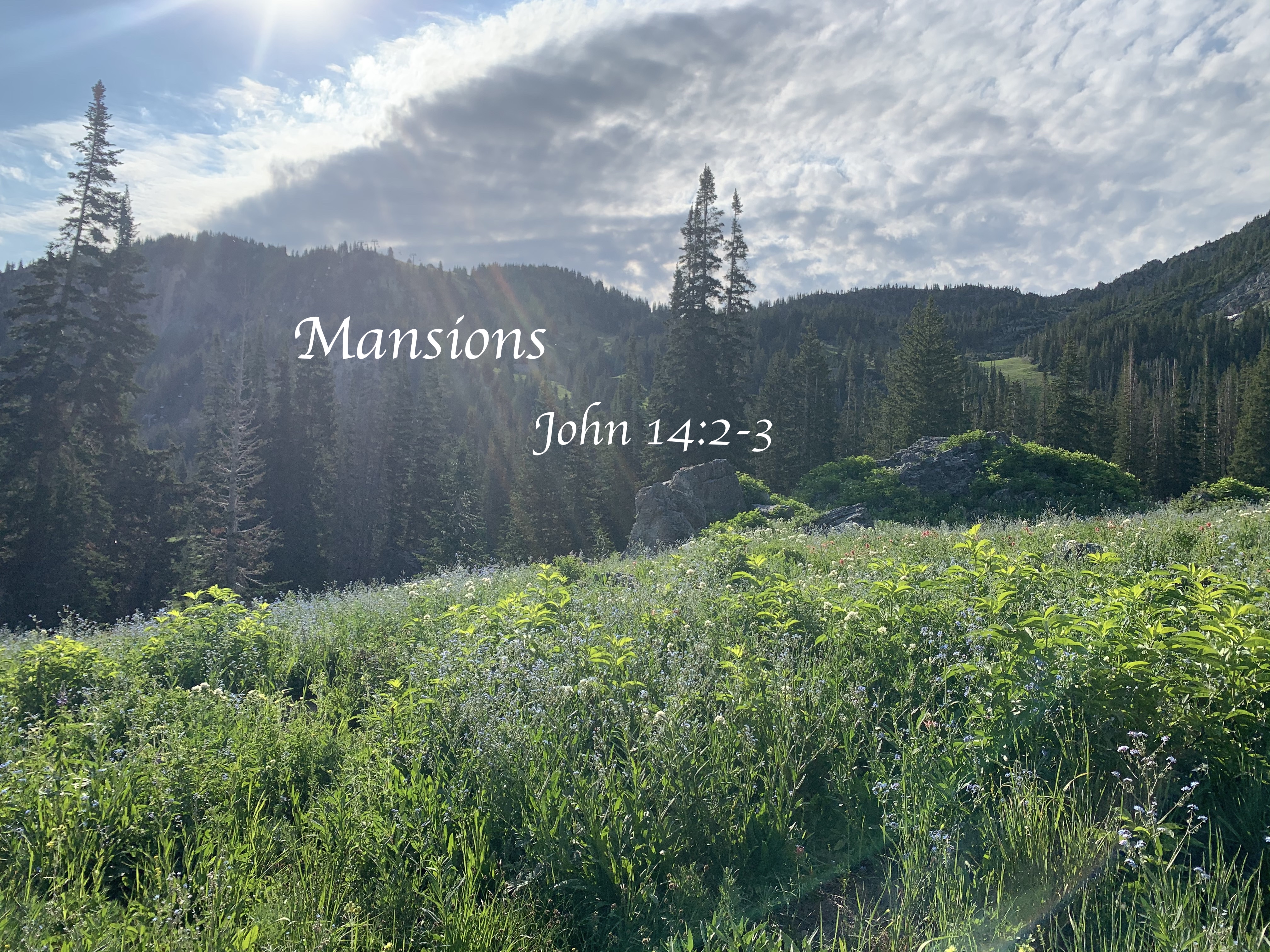 Mansions — Anna Wright Madison